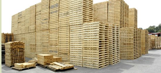 Kích thước kệ pallet phổ biến